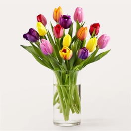 Colorful tulips arranged in a clear glass vase