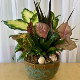 Dish Garden, 8-inch Ceramic Container