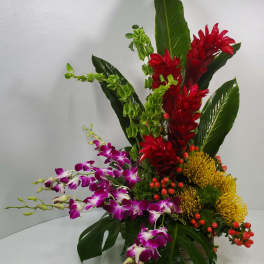 Tropical arrangement with red ginger, purple orchids, and yellow pincushion blooms