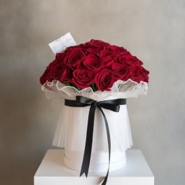 Luxe Red