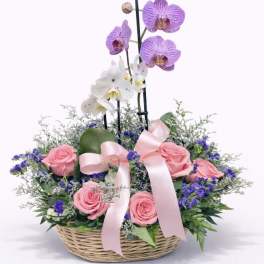 Basket arrangement with pink roses and purple orchids tied with a pink ribbon