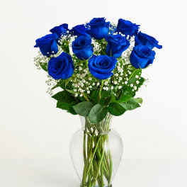 Dozen Blue Roses with Baby Breath