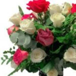 Bouquet of red, pink, and white roses with greenery