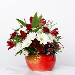 Our Honor Collection: Cheerful Cardinal