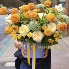 Prolific Bloomers