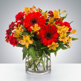 Cinnamon by BloomNation™