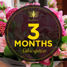 Graphic for a three-month flower subscription over a bouquet of pink flowers