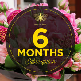Circular 6 months subscription text over a background of pink flowers.