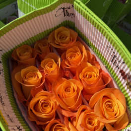 20 ORANGE ROSES PACK