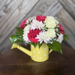 Watering Can Wishes
