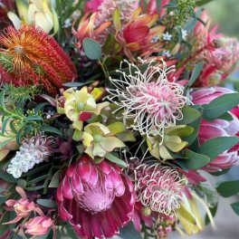 Bouquet of pink and red protea flowers with eucalyptus