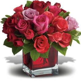 Bouquet of red and pink roses in a square glass vase