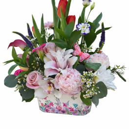 Blooms and Butterflies from Holland