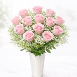 Jamie's Pink Lady Roses