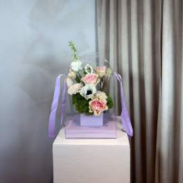 Purple Hwa Box
