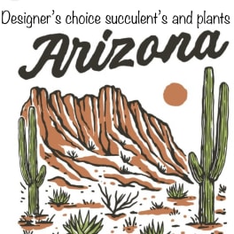 Illustrated Arizona desert scene with cacti and a mountain