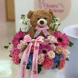 teddy box