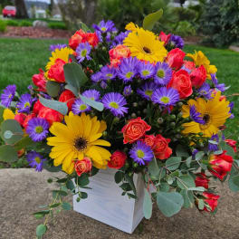 Bright bouquet of yellow daisies, purple asters, and red roses in a white box