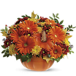 Orange gerbera daisies arranged in a pumpkin-shaped container
