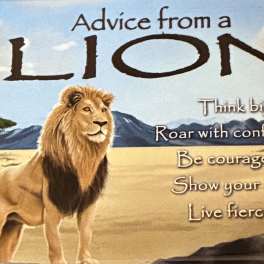 Advice From A Lion Magnet