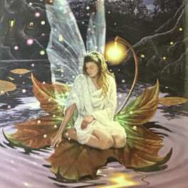Fairy Magnet