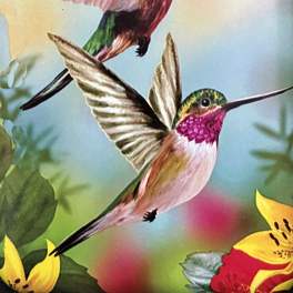 Anit-Theft Security Wallet with Humming Birds.