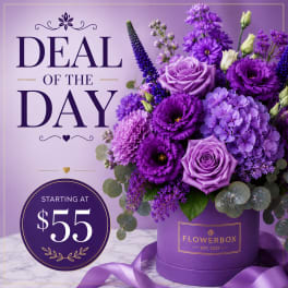 Deal of the day