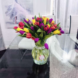 Multicolor tulips