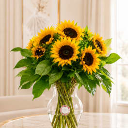 Stunning Sunflowers