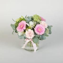 Petite Classic Pink