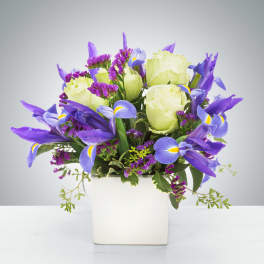 Compact arrangement of purple irises, pale white roses, and purple filler flowers in a white cube vase