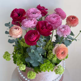 Blush & Grace