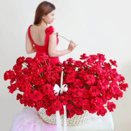 Love Majesty - 250 Roses