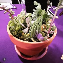 Succulent Centerpiece