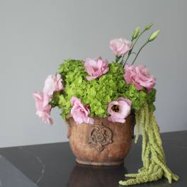 Blush Garden in Antique Clay