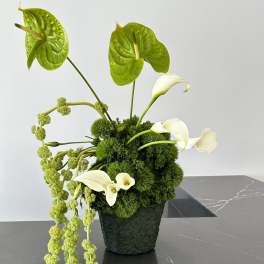 Verdant Elegance floral arrangement