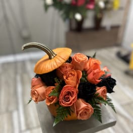 Orange and black rose arrangement in a pumpkin container