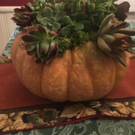 Pumpkin Centerpiece