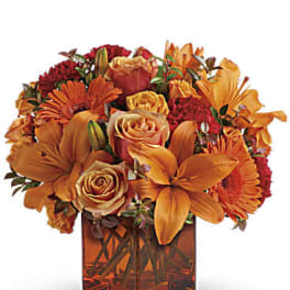 Orange and red flower arrangement in a square glass vase