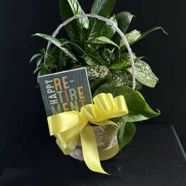 Basket of green houseplants with a yellow ribbon and retirement sign