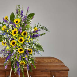 Sunflower Fields Sentiments Easel Spray