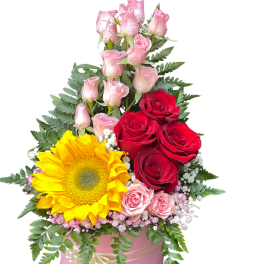 Mini Rose