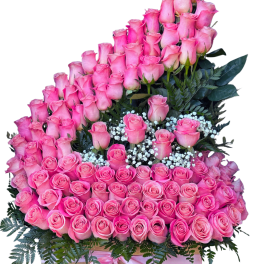 Pink Royal Cascade