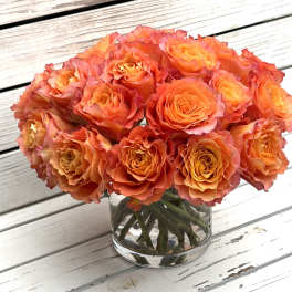 Spiral Free Spirit Rose Pavé Arrangement