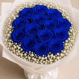 Royal Blue Devotions