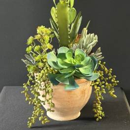 Faux Succulent Terracotta Pot