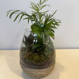Lush Life Terrarium