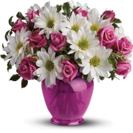 Pink Daisy Delight