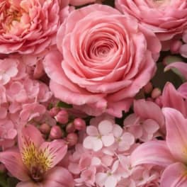 Pink Designer's Choice Arrangement