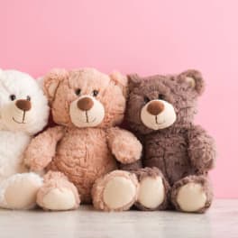 Single Plush Stuffed Bear